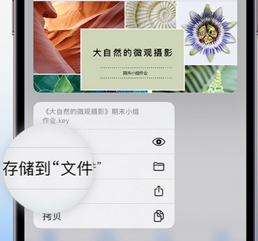 甘谷apple维修中心分享iPhone文件应用中存储和找到下载文件