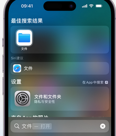 甘谷apple维修中心分享iPhone文件应用中存储和找到下载文件 