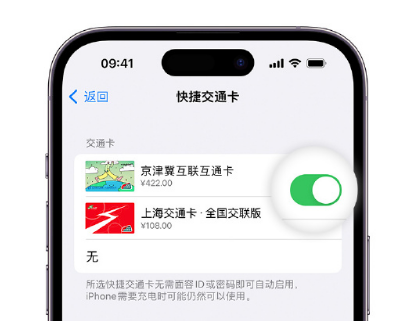 甘谷apple维修点分享iPhone上更换Apple Pay快捷交通卡手绘卡面 