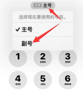 甘谷苹果14维修店分享iPhone 14 Pro Max使用副卡打电话的方法 