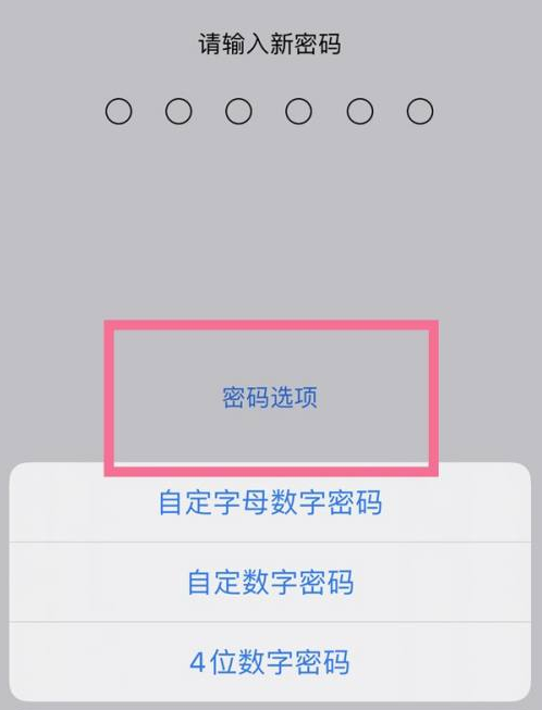 甘谷苹果14维修分享iPhone 14plus设置密码的方法 