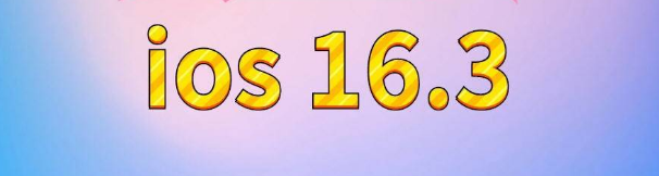 甘谷苹果服务网点分享苹果iOS16.3升级反馈汇总 