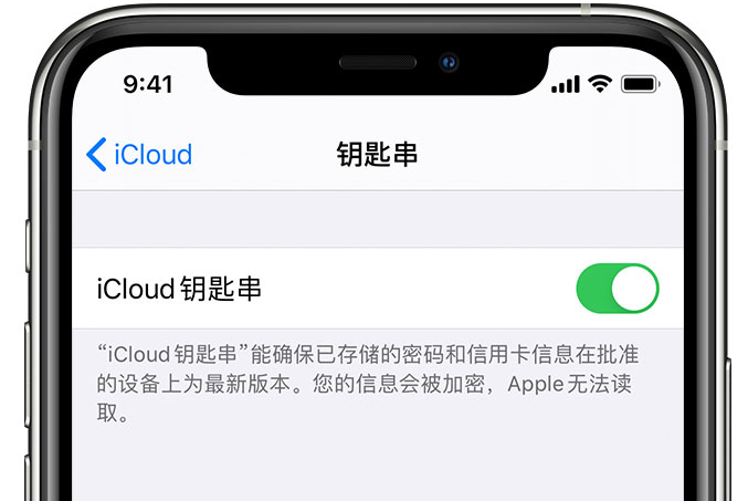 甘谷苹果手机维修分享在 iPhone 上开启 iCloud 钥匙串之后会储存哪些信息 