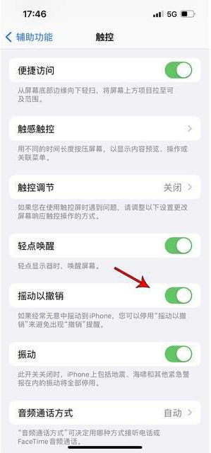 甘谷苹果手机维修分享iPhone手机如何设置摇一摇删除文字 